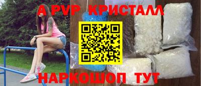 шишки Кимры