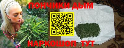 шишки Кимры