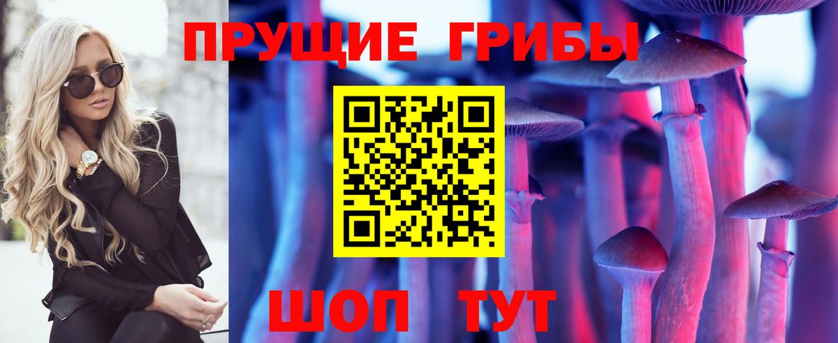 Галлюциногенные грибы GOLDEN TEACHER  Вход с VPN  Кольчугино 